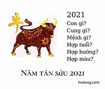 54 Tuổi Là Tuổi Con Gì Năm 2021 Là Mệnh Gì