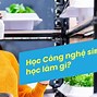 Công Ty Tnhh Công Nghệ Sinh Học Việt Thạnh Tuyển Dụng Thực Tập Sinh