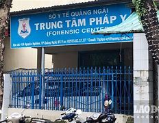 Giám Đốc Trung Tâm Giám Định Pháp Y Tỉnh Quảng Trị Là Ai Làm